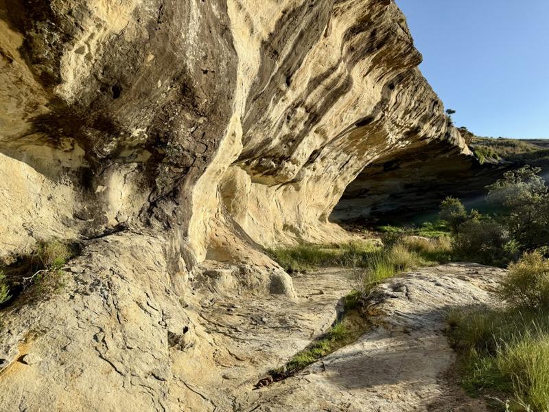 0 Bedroom Property for Sale in Fouriesburg Free State